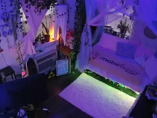 voyeurcam veccasalt 01's Live Sex Cam Show