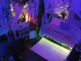 voyeurcam veccasalt 01's Live Sex Cam Show