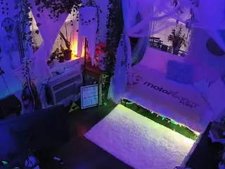 voyeurcam veccasalt 01's Live Sex Cam Show