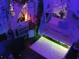 voyeurcam veccasalt 01's Live Sex Cam Show