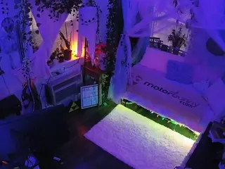voyeurcam veccasalt 01's Live Sex Cam Show