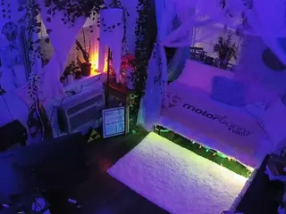 voyeurcam veccasalt 01's Live Sex Cam Show