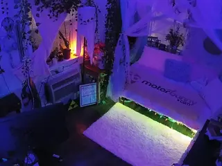 voyeurcam veccasalt 01's Live Sex Cam Show