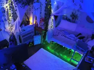voyeurcam veccasalt 01's Live Sex Cam Show