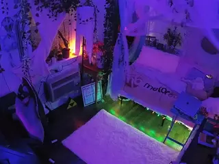 voyeurcam veccasalt 01's Live Sex Cam Show