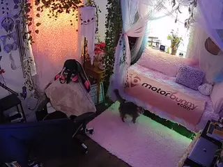 voyeurcam veccasalt 01's Live Sex Cam Show