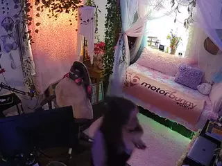 voyeurcam veccasalt 01's Live Sex Cam Show