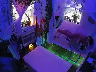 voyeurcam veccasalt 01's Live Sex Cam Show