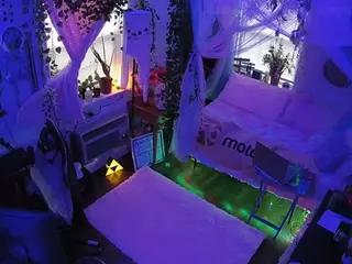 voyeurcam veccasalt 01's Live Sex Cam Show