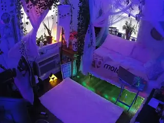 voyeurcam veccasalt 01's Live Sex Cam Show