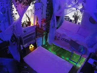 voyeurcam veccasalt 01's Live Sex Cam Show