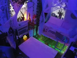 voyeurcam veccasalt 01's Live Sex Cam Show