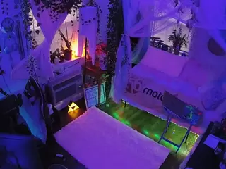 voyeurcam veccasalt 01's Live Sex Cam Show