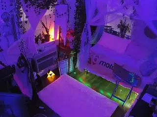 voyeurcam veccasalt 01's Live Sex Cam Show