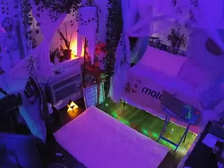 voyeurcam veccasalt 01's Live Sex Cam Show