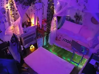 voyeurcam veccasalt 01's Live Sex Cam Show