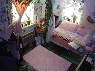 voyeurcam veccasalt 01's Live Sex Cam Show