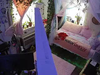 voyeurcam veccasalt 01's Live Sex Cam Show