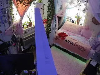 voyeurcam veccasalt 01's Live Sex Cam Show