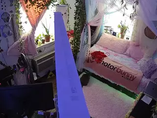 voyeurcam veccasalt 01's Live Sex Cam Show