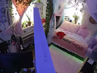 voyeurcam veccasalt 01's Live Sex Cam Show