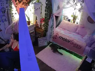 voyeurcam veccasalt 01's Live Sex Cam Show