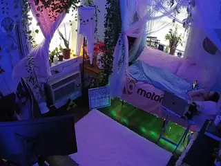 voyeurcam veccasalt 01's Live Sex Cam Show