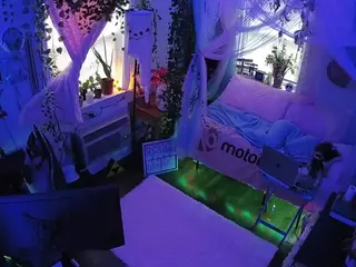 voyeurcam veccasalt 01's Live Sex Cam Show