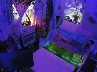 voyeurcam veccasalt 01's Live Sex Cam Show