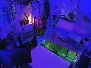 voyeurcam veccasalt 01's Live Sex Cam Show