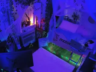 voyeurcam veccasalt 01's Live Sex Cam Show