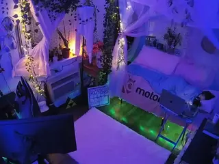 voyeurcam veccasalt 01's Live Sex Cam Show