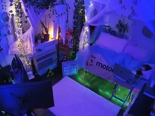 voyeurcam veccasalt 01's Live Sex Cam Show
