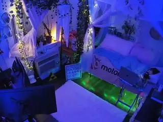 voyeurcam veccasalt 01's Live Sex Cam Show