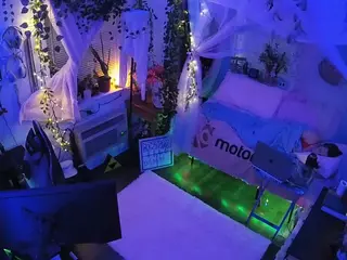 voyeurcam veccasalt 01's Live Sex Cam Show