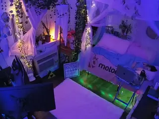 voyeurcam veccasalt 01's Live Sex Cam Show