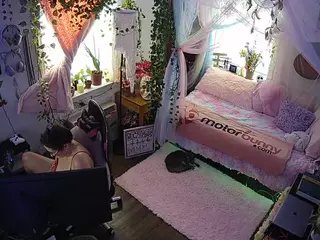 voyeurcam veccasalt 01's Live Sex Cam Show