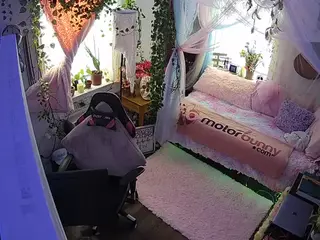 voyeurcam veccasalt 01's Live Sex Cam Show