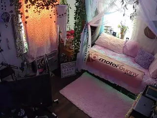 voyeurcam veccasalt 01's Live Sex Cam Show