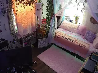 voyeurcam veccasalt 01's Live Sex Cam Show