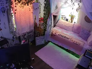 voyeurcam veccasalt 01's Live Sex Cam Show