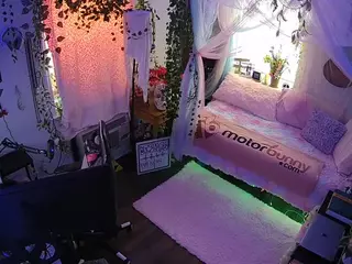 voyeurcam veccasalt 01's Live Sex Cam Show