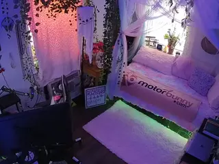 voyeurcam veccasalt 01's Live Sex Cam Show