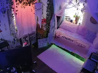 voyeurcam veccasalt 01's Live Sex Cam Show