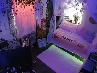 voyeurcam veccasalt 01's Live Sex Cam Show