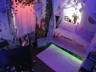 voyeurcam veccasalt 01's Live Sex Cam Show