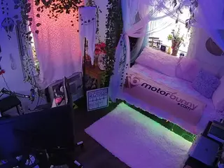 voyeurcam veccasalt 01's Live Sex Cam Show