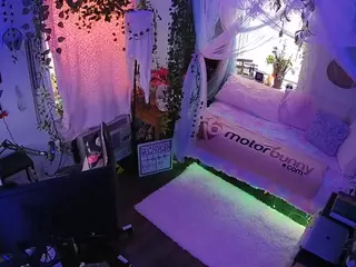 voyeurcam veccasalt 01's Live Sex Cam Show