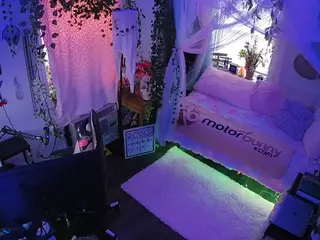 voyeurcam veccasalt 01's Live Sex Cam Show