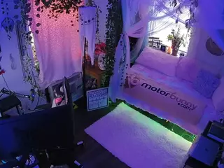 voyeurcam veccasalt 01's Live Sex Cam Show